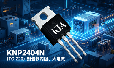 KNP2404N